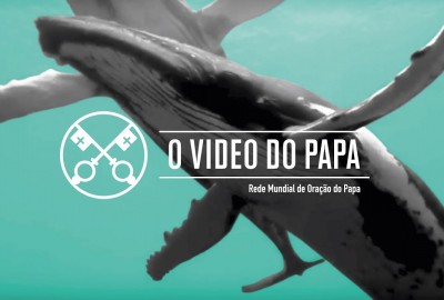 videopapasetembro